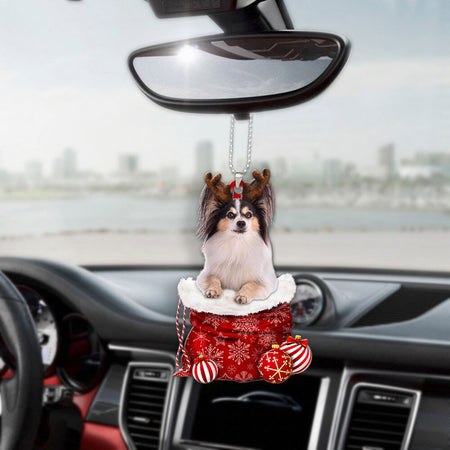 Papillon Pocket Mirror With the Image of a Dog. 