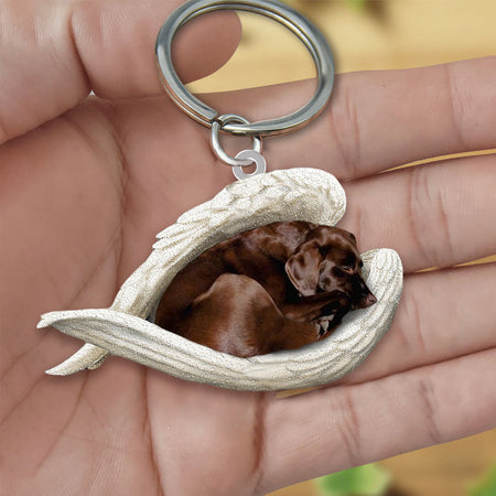 Custom Pet Sleeping Angel Acrylic Keychain: Personalized Memorial Gift